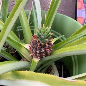 Meet your Posher, Betsy